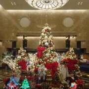 ヒメ日記 2025/12/20 19:19 投稿 さゆり 千葉人妻花壇