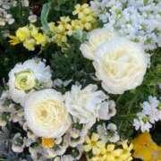 ヒメ日記 2025/03/26 10:34 投稿 まこ 千葉人妻花壇