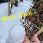 ヒメ日記 2024/12/24 13:37 投稿 あきこ 千葉人妻花壇