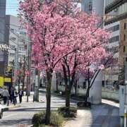 ヒメ日記 2026/03/24 13:20 投稿 あきこ 千葉人妻花壇