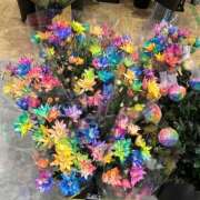 ヒメ日記 2026/03/30 13:04 投稿 あきこ 千葉人妻花壇