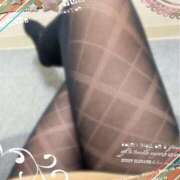 あんり おぱよん  あさだよー！ 千葉人妻花壇