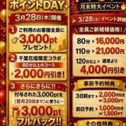 ヒメ日記 2026/03/24 13:45 投稿 ふみえ 千葉人妻花壇