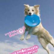 ヒメ日記 2025/07/14 18:31 投稿 かよ 千葉人妻花壇