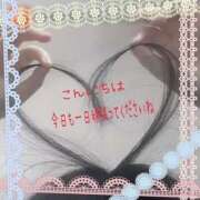 ヒメ日記 2026/02/14 12:54 投稿 かよ 千葉人妻花壇