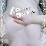 ヒメ日記 2026/04/05 11:57 投稿 かよ 千葉人妻花壇