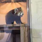 ヒメ日記 2025/12/25 19:10 投稿 かな 千葉人妻花壇