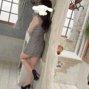 ヒメ日記 2025/03/30 13:57 投稿 なな ハピネス東京