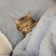 ヒメ日記 2025/05/02 12:55 投稿 すぅ 美熟女専科白夜