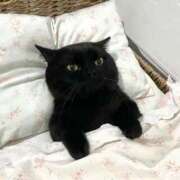 ヒメ日記 2025/08/05 22:03 投稿 すぅ 美熟女専科白夜