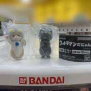 ヒメ日記 2025/11/21 14:23 投稿 すぅ 美熟女専科白夜