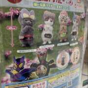 すぅ 仮面にゃいだー🐈 美熟女専科白夜