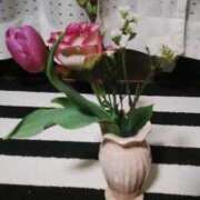 さき こんにちは 丸妻 厚木店