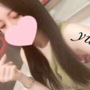 ヒメ日記 2025/04/01 22:29 投稿 ゆりな TSUBAKI(ツバキ)松山店