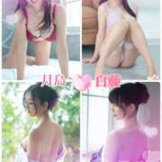 ヒメ日記 2025/02/16 10:01 投稿 白藤 プレジデントクラブ