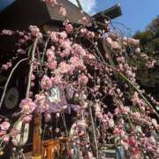 ヒメ日記 2025/02/27 15:00 投稿 白藤 プレジデントクラブ