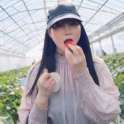 ヒメ日記 2025/03/04 07:00 投稿 白藤 プレジデントクラブ