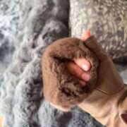 ヒメ日記 2025/03/05 06:10 投稿 白藤 プレジデントクラブ