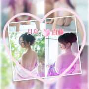 ヒメ日記 2025/03/05 09:01 投稿 白藤 プレジデントクラブ