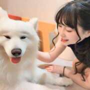 ヒメ日記 2025/03/19 07:19 投稿 白藤 プレジデントクラブ