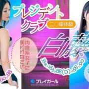 ヒメ日記 2025/04/06 09:28 投稿 白藤 プレジデントクラブ