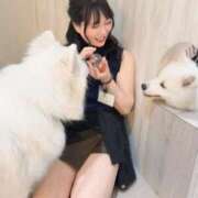 ヒメ日記 2025/04/07 07:01 投稿 白藤 プレジデントクラブ