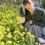 ヒメ日記 2025/04/11 07:02 投稿 白藤 プレジデントクラブ