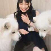 ヒメ日記 2025/04/14 07:15 投稿 白藤 プレジデントクラブ