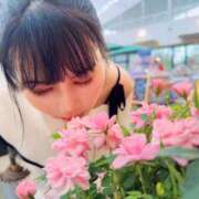 ヒメ日記 2025/04/17 08:00 投稿 白藤 プレジデントクラブ