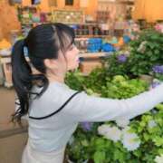 ヒメ日記 2025/04/22 09:01 投稿 白藤 プレジデントクラブ