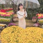 ヒメ日記 2025/04/28 08:02 投稿 白藤 プレジデントクラブ