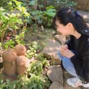 ヒメ日記 2025/05/01 10:02 投稿 白藤 プレジデントクラブ