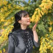 ヒメ日記 2025/05/11 09:02 投稿 白藤 プレジデントクラブ