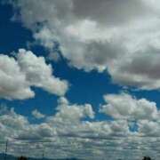 ヒメ日記 2025/05/22 15:19 投稿 白藤 プレジデントクラブ