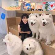 ヒメ日記 2025/07/11 09:01 投稿 白藤 プレジデントクラブ