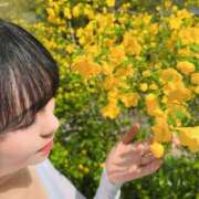 ヒメ日記 2025/07/30 07:02 投稿 白藤 プレジデントクラブ