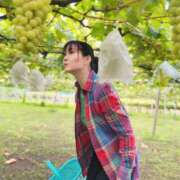 ヒメ日記 2025/09/25 08:55 投稿 白藤 プレジデントクラブ