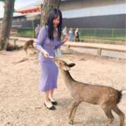 ヒメ日記 2025/10/08 08:01 投稿 白藤 プレジデントクラブ