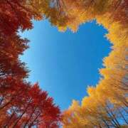 ヒメ日記 2025/11/22 12:01 投稿 白藤 プレジデントクラブ