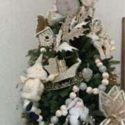 ヒメ日記 2025/12/20 12:03 投稿 白藤 プレジデントクラブ