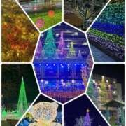 ヒメ日記 2025/12/25 12:01 投稿 白藤 プレジデントクラブ