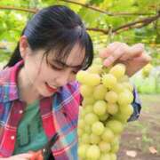 ヒメ日記 2025/12/27 21:01 投稿 白藤 プレジデントクラブ