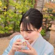 ヒメ日記 2026/01/12 08:01 投稿 白藤 プレジデントクラブ