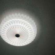 ヒメ日記 2026/01/19 06:30 投稿 白藤 プレジデントクラブ