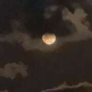 ヒメ日記 2026/02/03 21:31 投稿 白藤 プレジデントクラブ