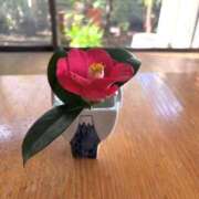 ヒメ日記 2026/03/09 12:01 投稿 白藤 プレジデントクラブ