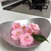 ヒメ日記 2026/03/11 08:02 投稿 白藤 プレジデントクラブ