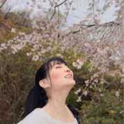 ヒメ日記 2026/04/02 09:00 投稿 白藤 プレジデントクラブ