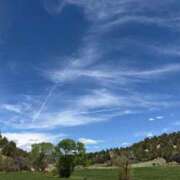 ヒメ日記 2026/04/07 12:02 投稿 白藤 プレジデントクラブ