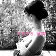 ヒメ日記 2026/04/18 12:01 投稿 白藤 プレジデントクラブ